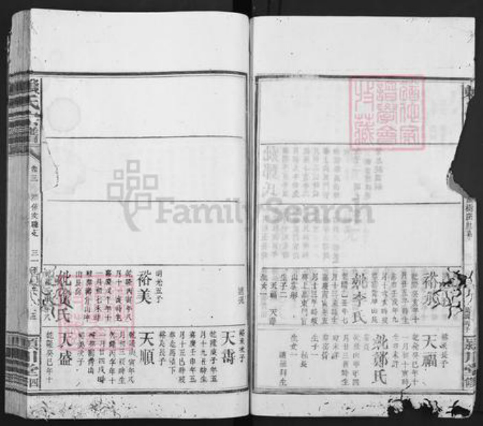 福建省龙岩市上杭县赖氏颍川堂族谱-赖氏宗谱.pdf电子版插图5