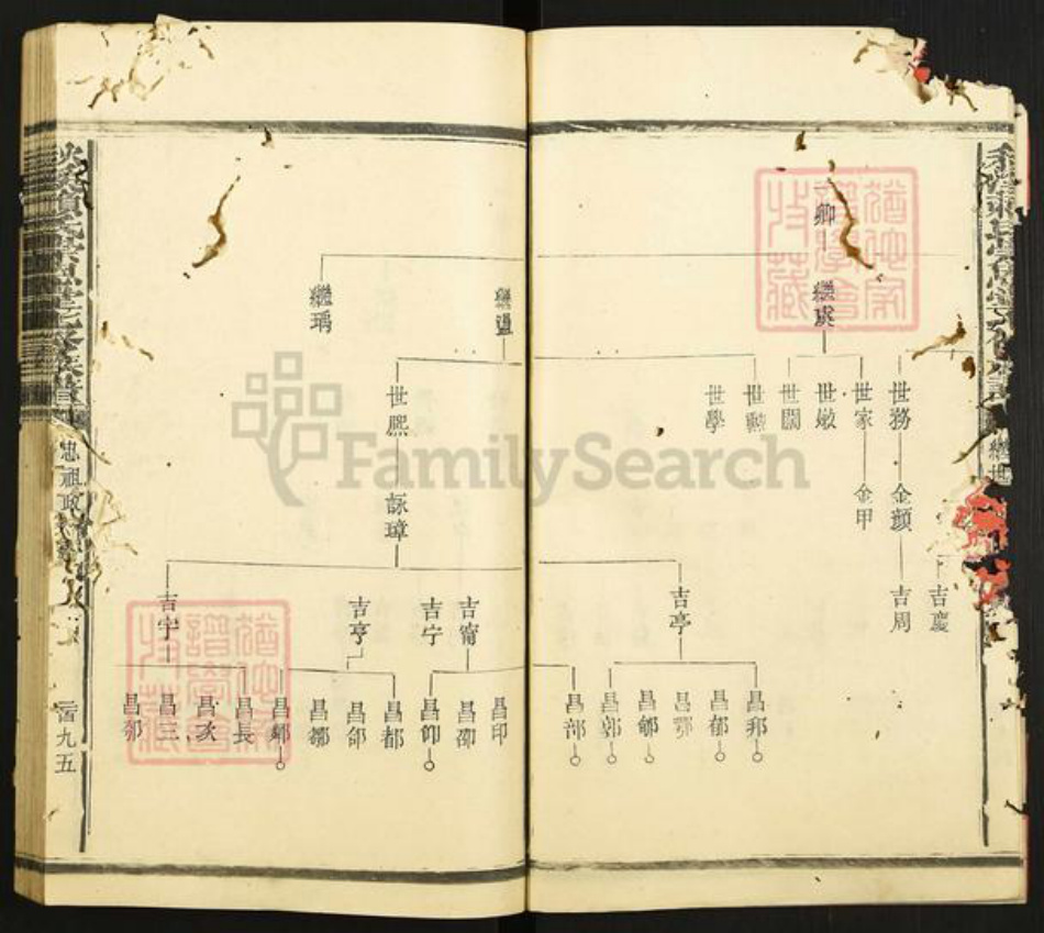 江西省赣州市章贡区赣江街道赖氏崇恩堂族谱-秋溪松阳赖氏崇恩堂七修族谱.pdf电子版插图4