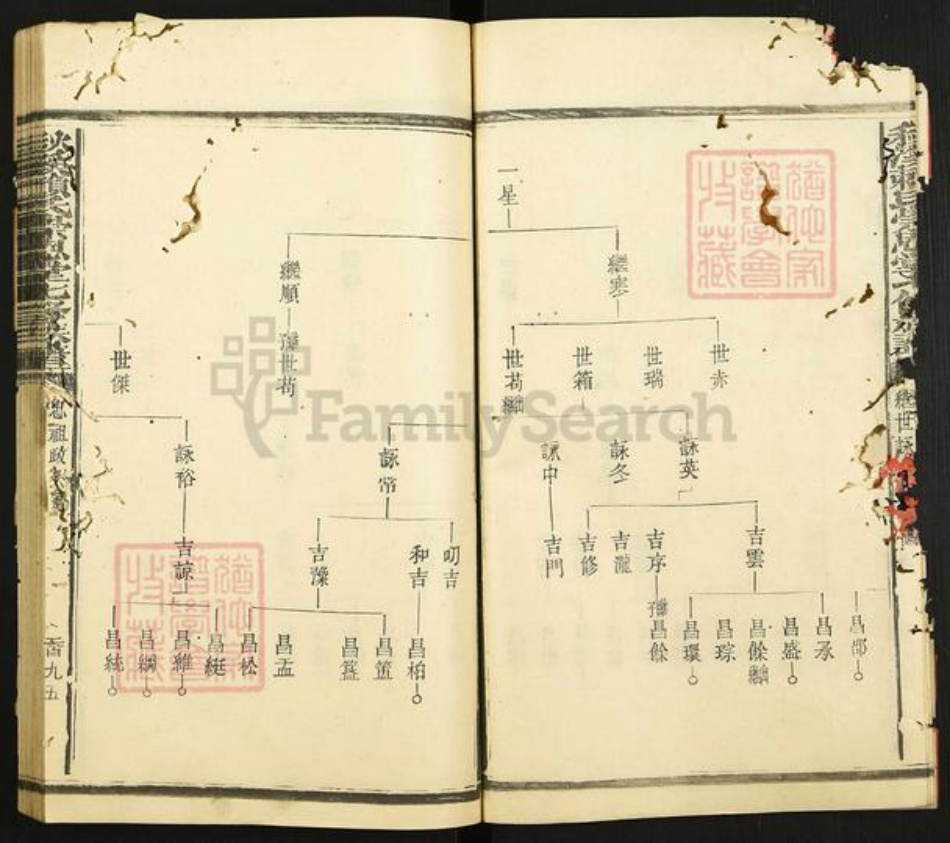 江西省赣州市章贡区赣江街道赖氏崇恩堂族谱-秋溪松阳赖氏崇恩堂七修族谱.pdf电子版插图5
