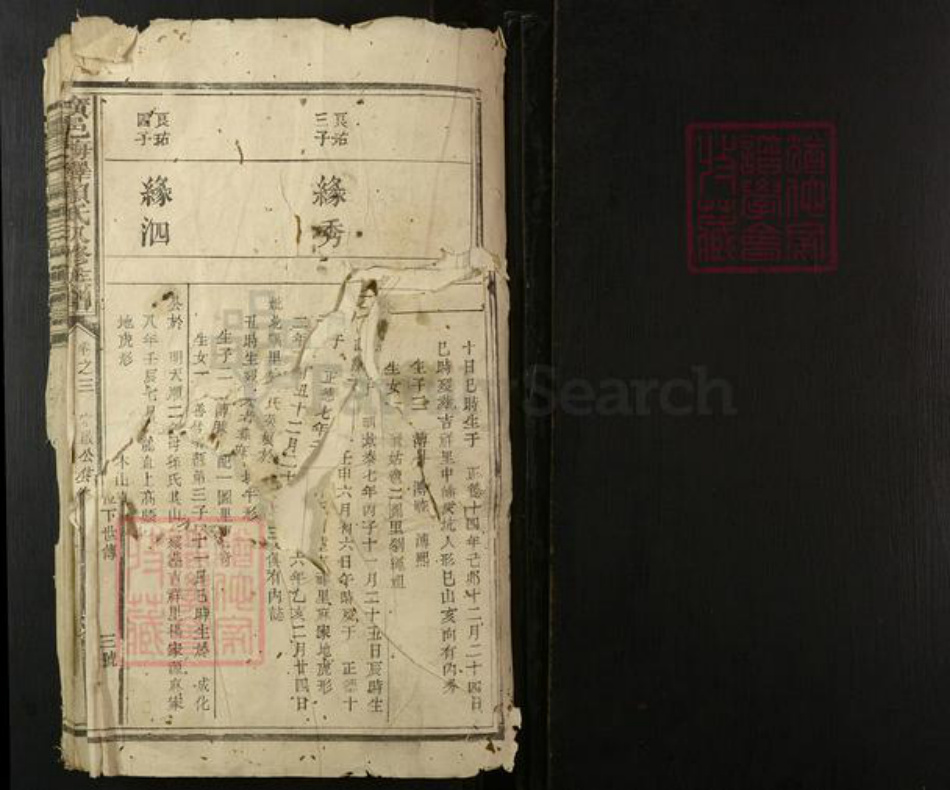 江西省抚州市广昌县广东省梅州市赖氏族谱-广邑梅驿赖氏八修族谱.pdf电子版插图1