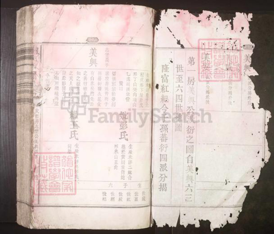 江西省吉安市赖氏族谱-赖氏八修族谱[不分卷].pdf电子版插图1