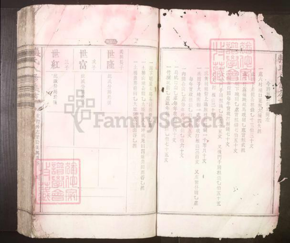 江西省吉安市赖氏族谱-赖氏八修族谱[不分卷].pdf电子版插图2