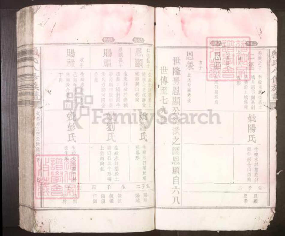 江西省吉安市赖氏族谱-赖氏八修族谱[不分卷].pdf电子版插图4