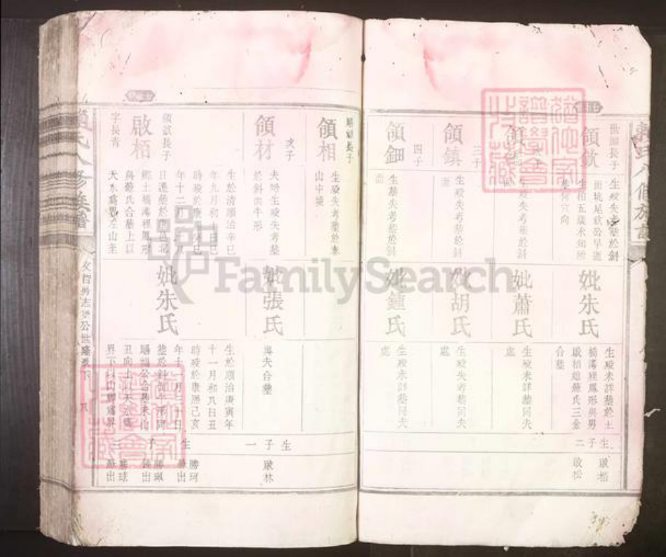 江西省吉安市赖氏族谱-赖氏八修族谱[不分卷].pdf电子版插图5