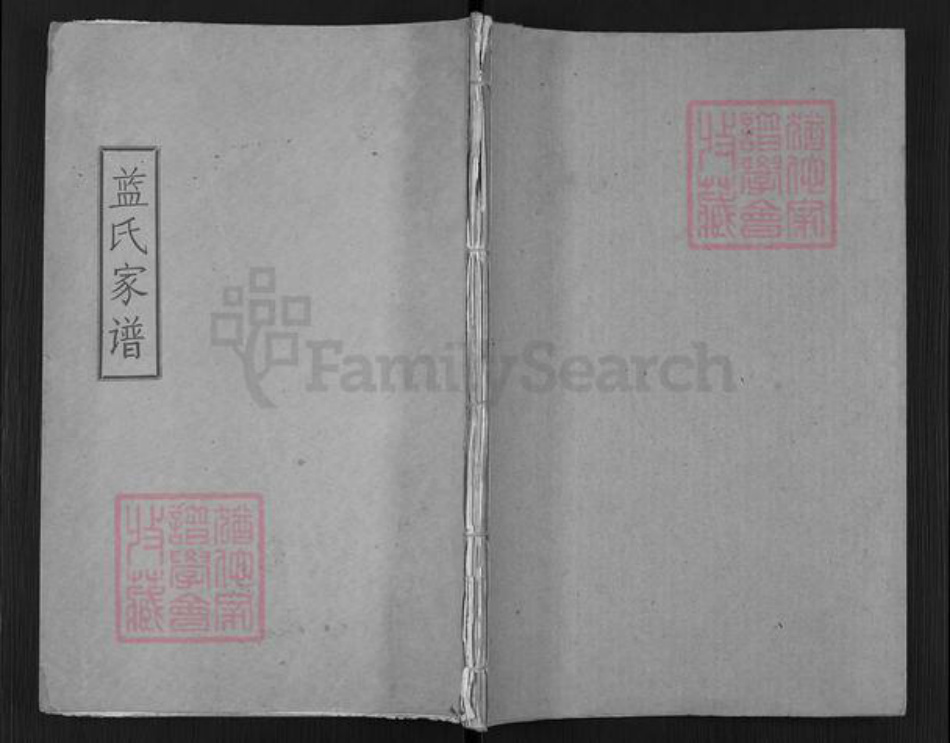 四川省蓝氏族谱-蓝氏家谱.pdf电子版