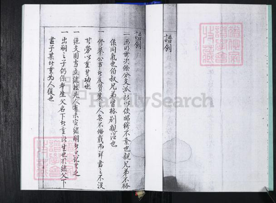 山东省青岛市崂山区蓝氏族谱-大麦岛蓝氏族谱.pdf电子版插图4