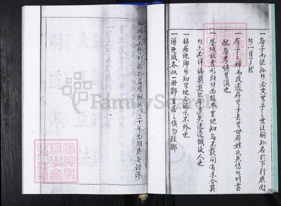 山东省青岛市崂山区蓝氏族谱-大麦岛蓝氏族谱.pdf电子版插图5