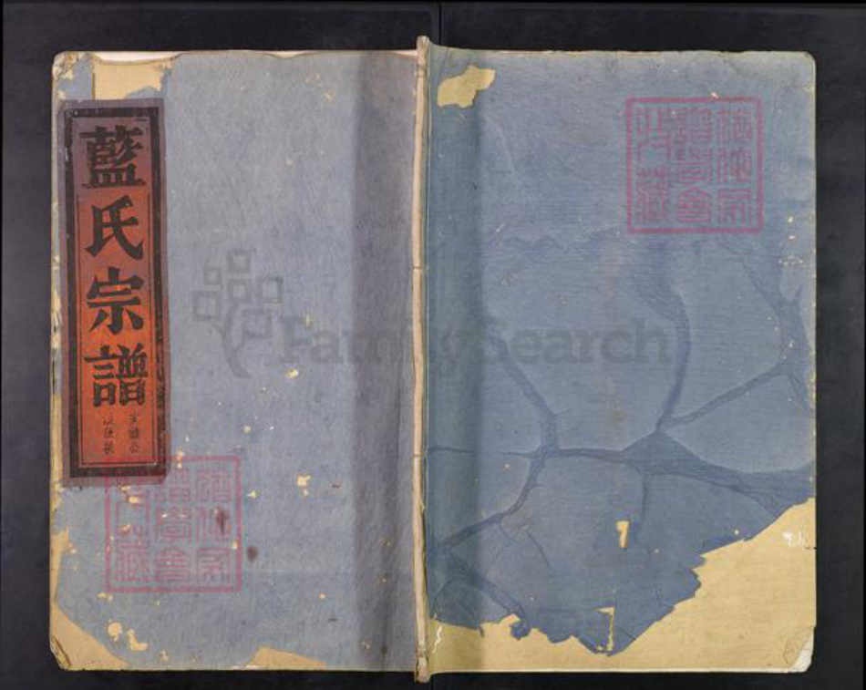 浙江省台州市临海市括苍镇蓝氏族谱-汝南蓝氏宗谱.pdf电子版