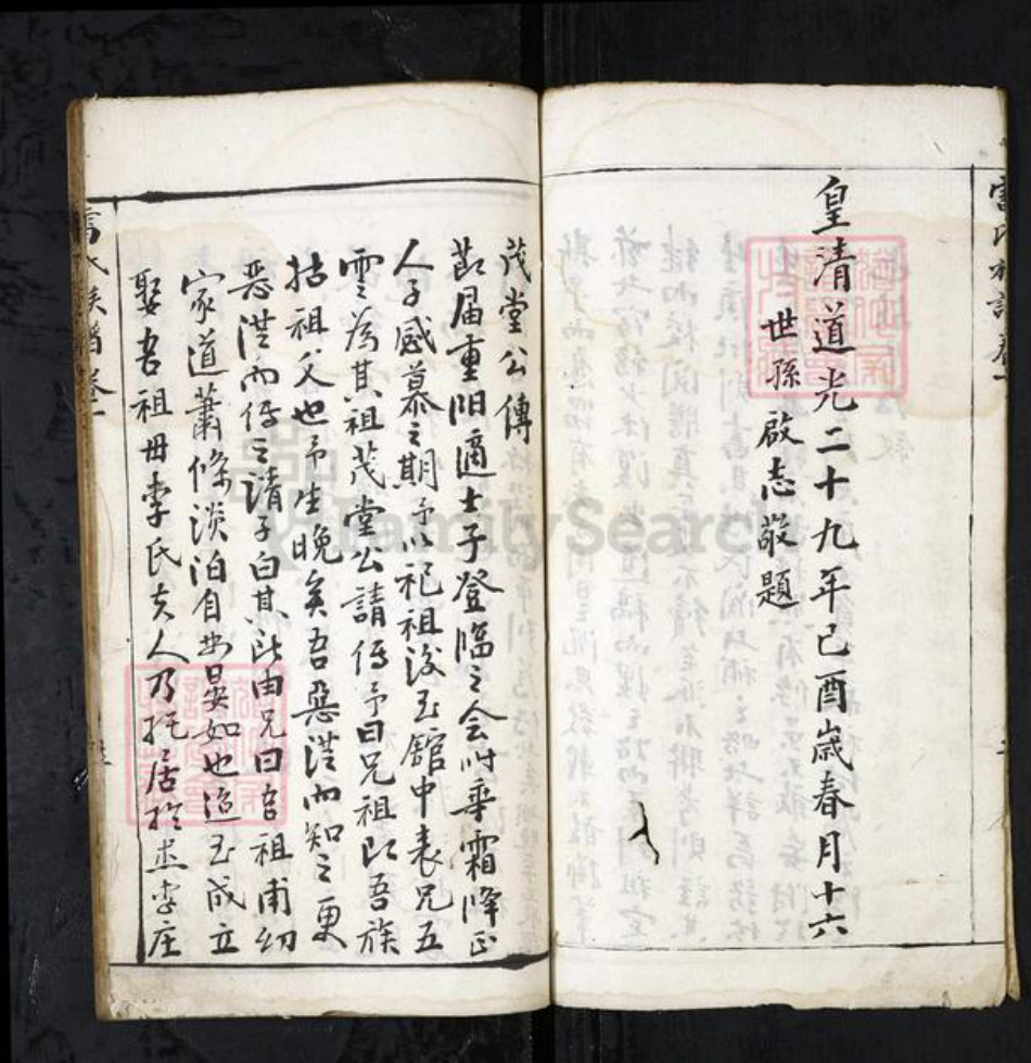 湖北省孝感市大悟县雷氏族谱-雷氏族谱[不分卷].pdf电子版插图3