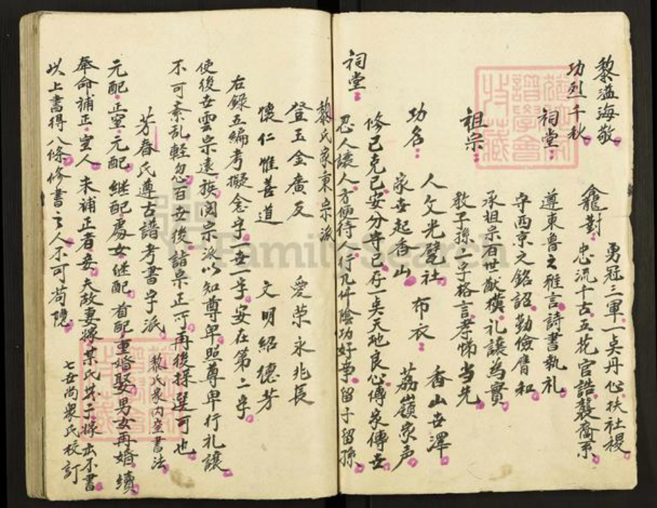 广东省中山市黎氏族谱-黎氏家谱.pdf电子版插图5