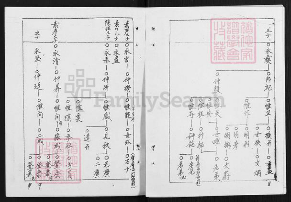 海南省儋州市木棠镇黎氏族谱-大塘村族谱.pdf电子版插图5