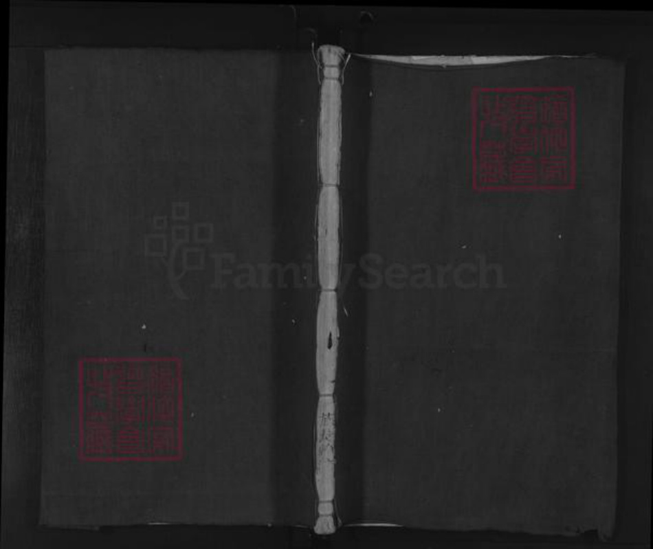 浙江省丽水市松阳县李氏族谱-李氏宗谱 [不分卷].pdf电子版