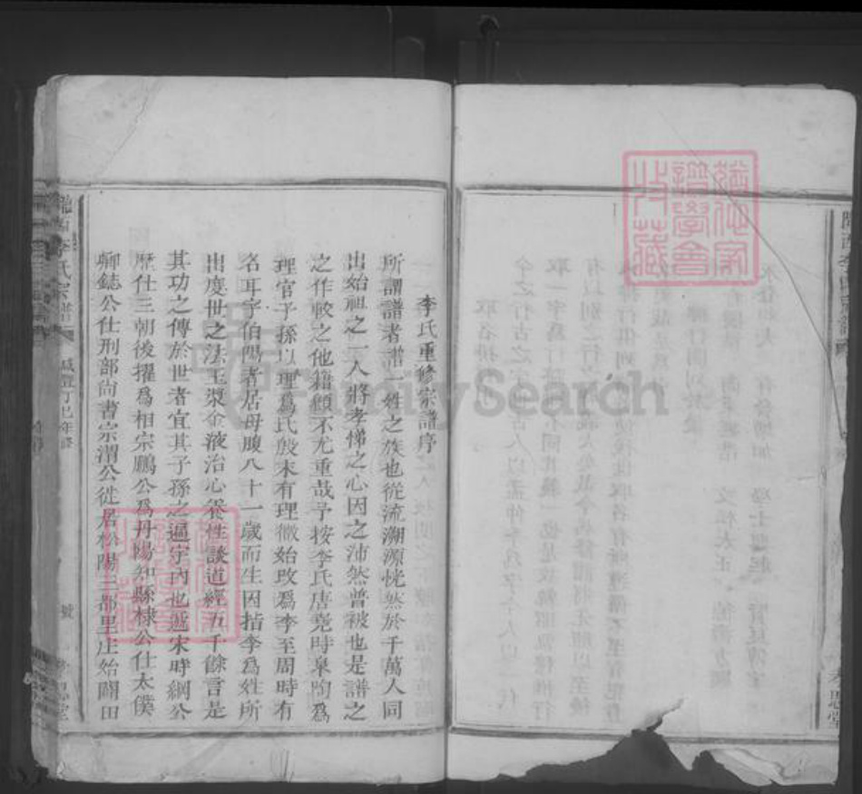 浙江省丽水市松阳县李氏族谱-李氏宗谱 [不分卷].pdf电子版插图3