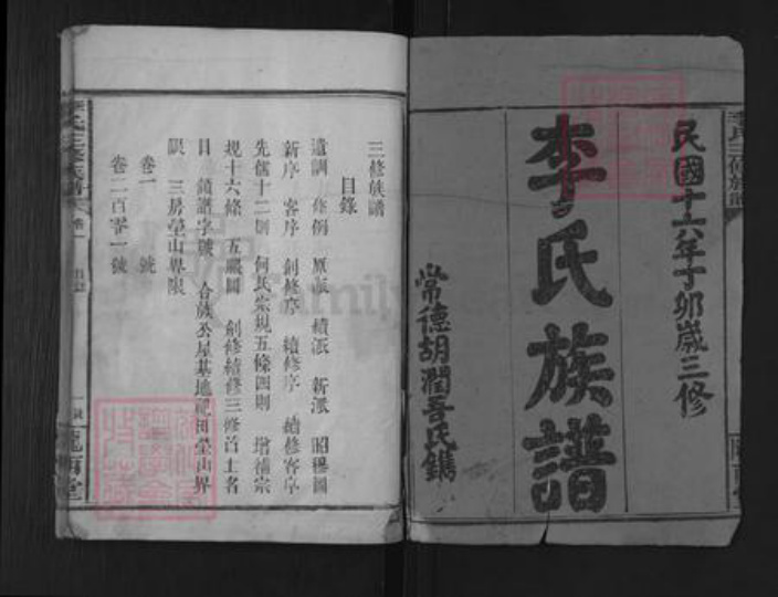 湖南省常德市武陵区李氏陇西堂族谱-李氏族谱.pdf电子版插图1