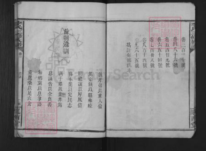 湖南省常德市武陵区李氏陇西堂族谱-李氏族谱.pdf电子版插图2