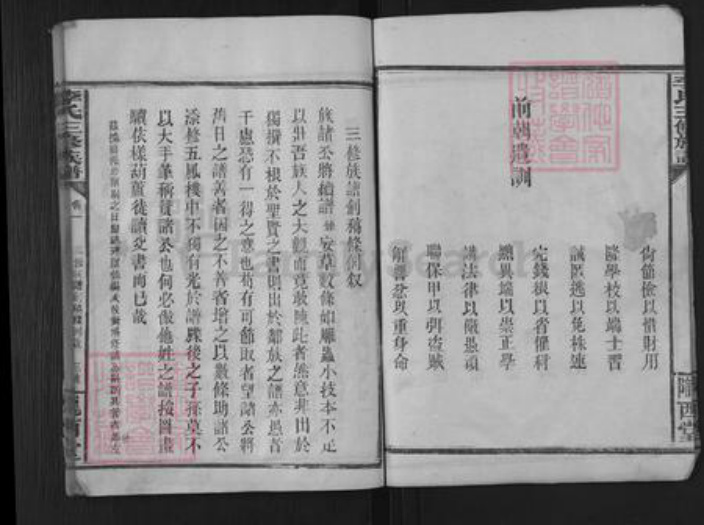 湖南省常德市武陵区李氏陇西堂族谱-李氏族谱.pdf电子版插图3