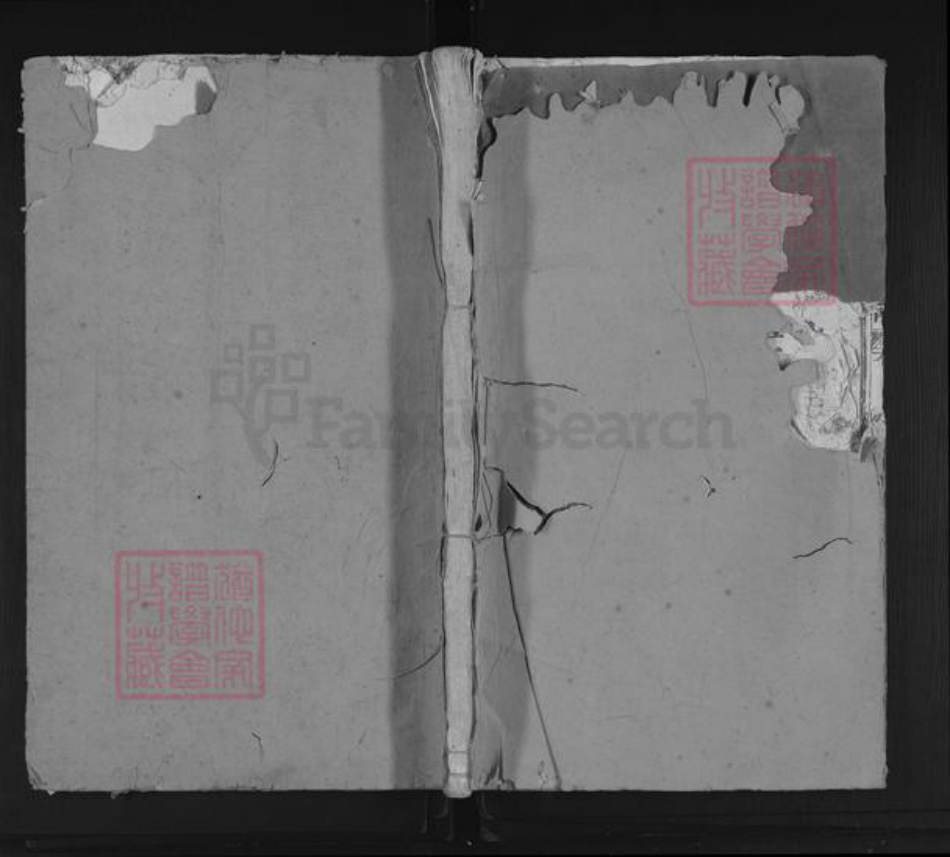 福建省三明市宁化县石壁镇李氏陇西堂族谱-李氏族谱.pdf电子版插图 福建省三明市宁化县石壁镇李氏陇西堂族谱-李氏族谱.pdf电子版插图