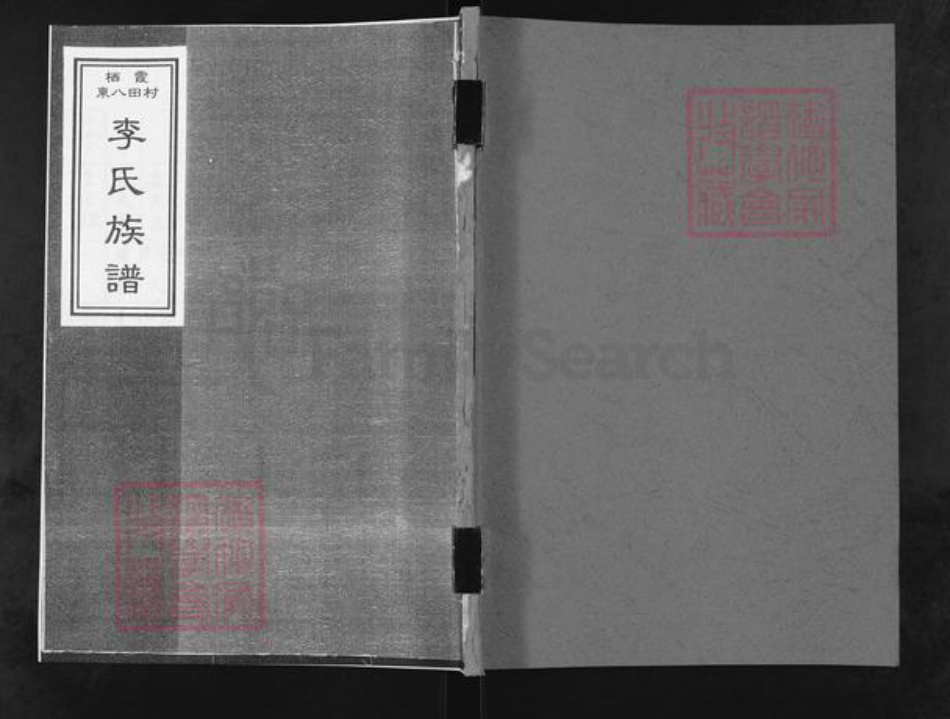 山东省烟台市栖霞市李氏族谱-栖霞东八田村李氏族谱.pdf电子版