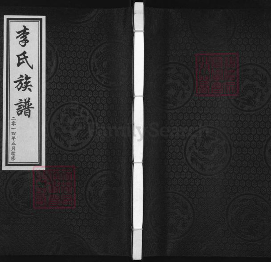 河北省沧州海兴县高湾镇李氏族谱-李氏族谱.pdf电子版插图
