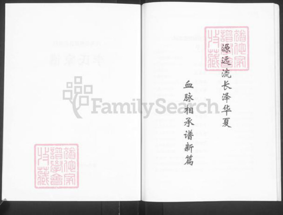 河南省焦作市博爱县金城乡李氏族谱-李氏家谱.pdf电子版插图2 河南省焦作市博爱县金城乡李氏族谱-李氏家谱.pdf电子版插图2