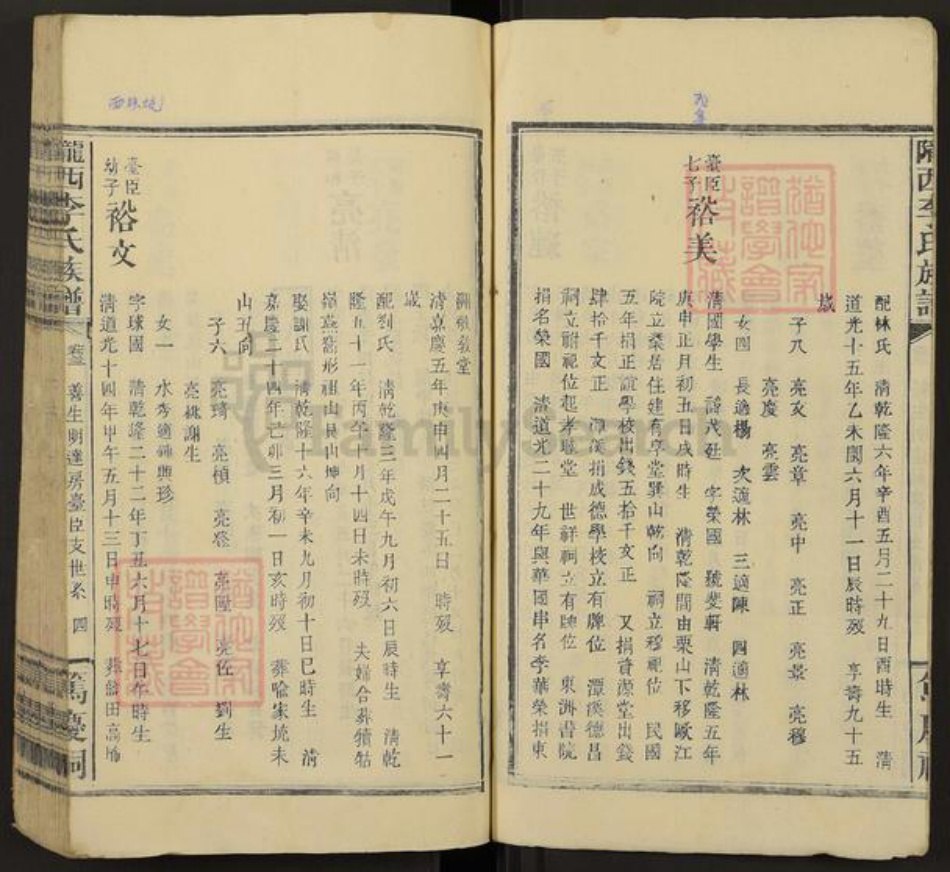 福建省龙岩市上杭县李氏族谱-陇西李氏族谱.pdf电子版插图4