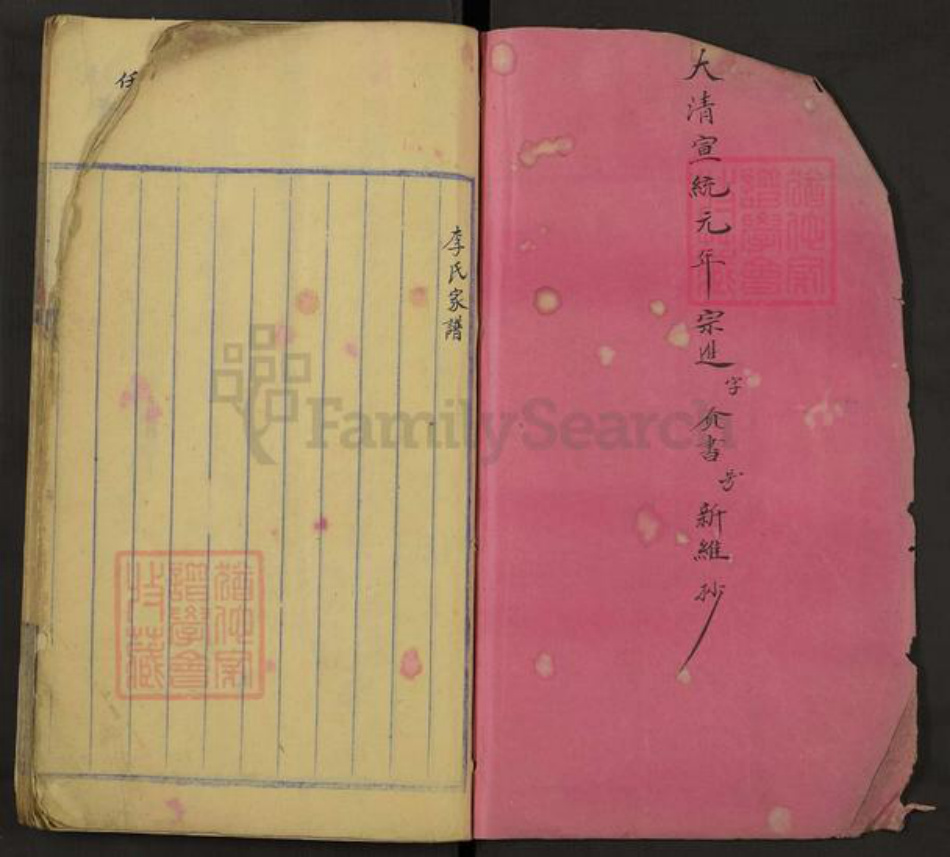 四川省成都市金牛区天回镇街道李氏族谱-李氏家谱.pdf电子版插图1