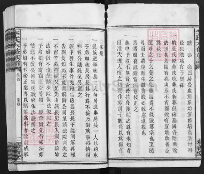 湖南省益阳市赫山李氏积善堂族谱-李氏六修族谱.pdf电子版插图5