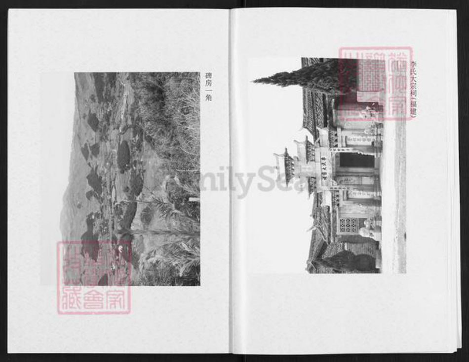 云南省昭通市彝良县李氏族谱-李氏宗谱.pdf电子版插图5