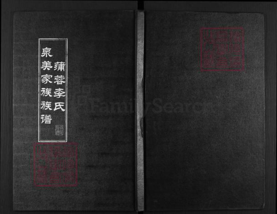 福建省泉州市石狮市永宁镇李氏族谱-蒲蓉李氏泉美家谱族谱.pdf电子版