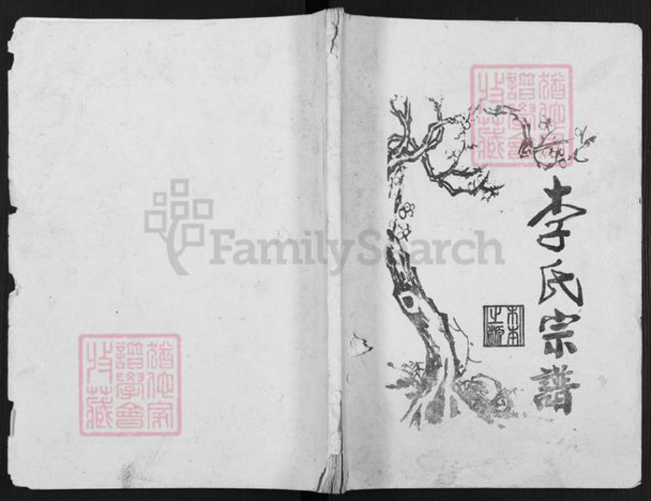 重庆市涪陵区李氏族谱-李氏宗谱.pdf电子版