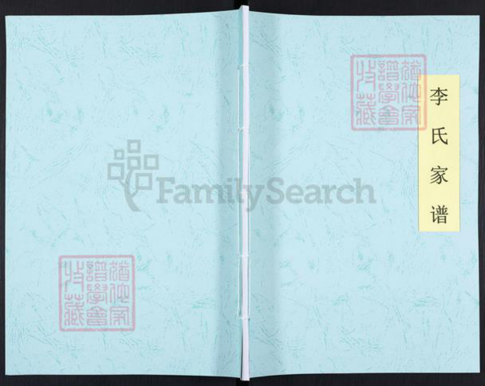 山西省运城市盐湖区中城街道李氏族谱-李氏家谱.pdf电子版插图 山西省运城市盐湖区中城街道李氏族谱-李氏家谱.pdf电子版插图