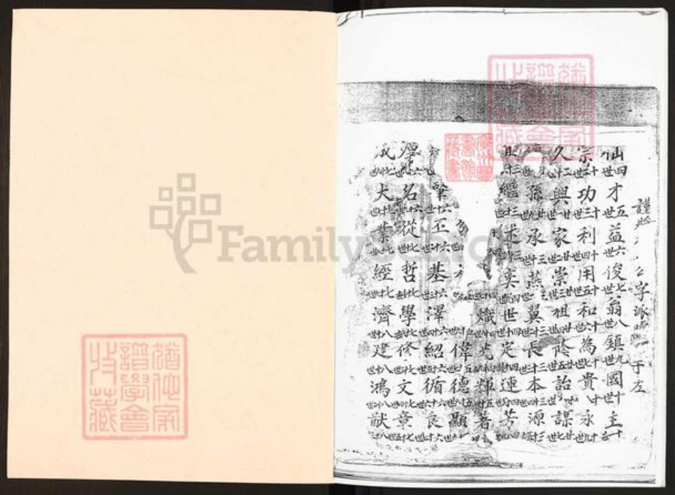 广东省广州市李氏久远堂族谱-萝岗联和慕园村族薄.pdf电子版插图1