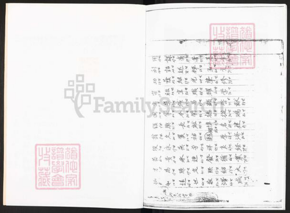 广东省广州市李氏久远堂族谱-萝岗联和慕园村族薄.pdf电子版插图2