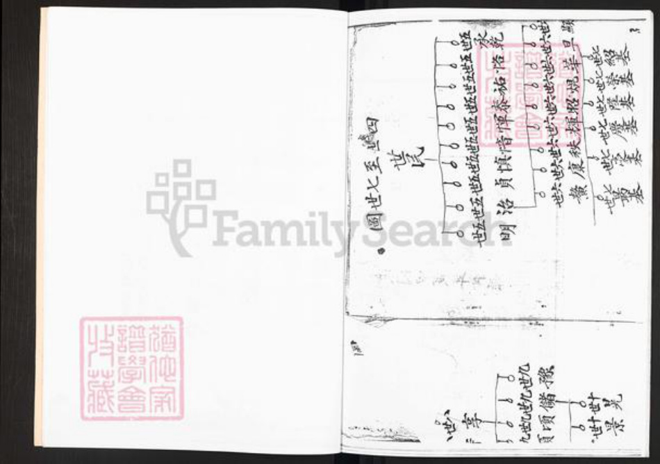 广东省广州市李氏久远堂族谱-萝岗联和慕园村族薄.pdf电子版插图5