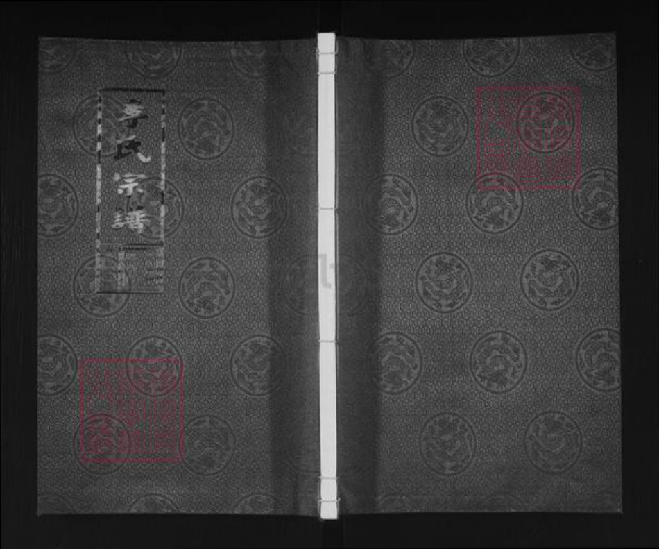 江苏省盐城市盐都区李氏陇西堂族谱-李氏宗谱.pdf电子版插图 江苏省盐城市盐都区李氏陇西堂族谱-李氏宗谱.pdf电子版插图