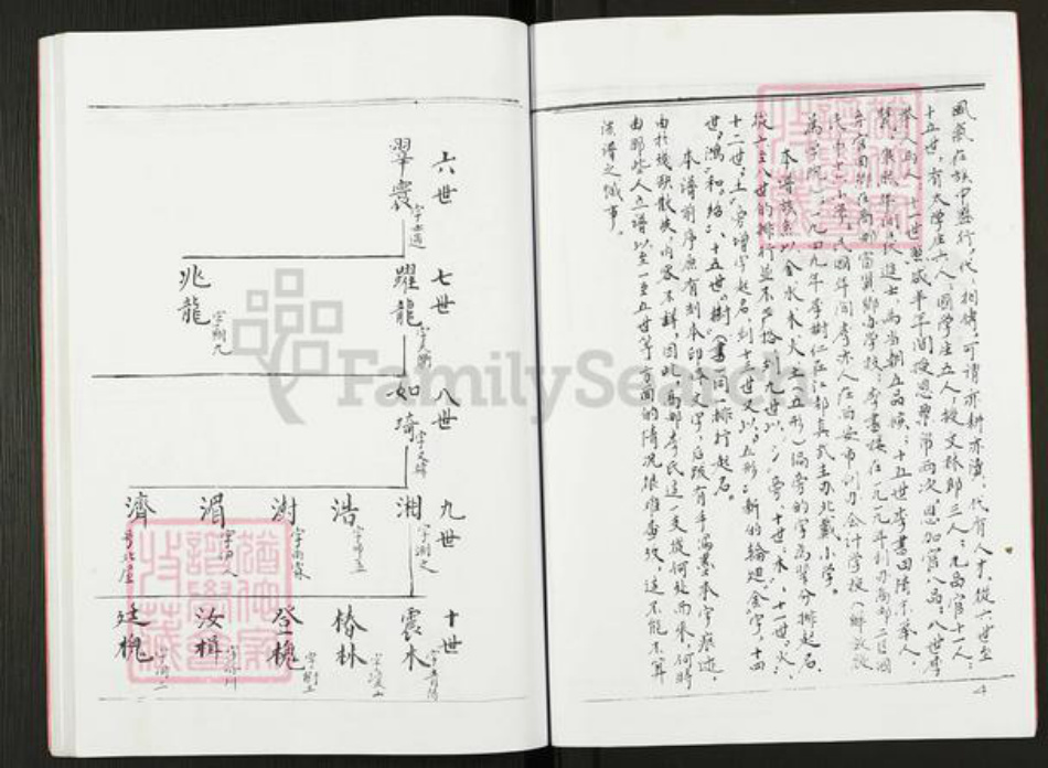 江苏省扬州市高邮市李氏族谱-李氏宗谱.pdf电子版插图3
