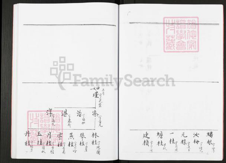 江苏省扬州市高邮市李氏族谱-李氏宗谱.pdf电子版插图4