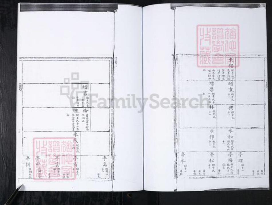 山东省青岛市崂山区李氏族谱-东麦窑社区李氏支谱.pdf电子版插图5