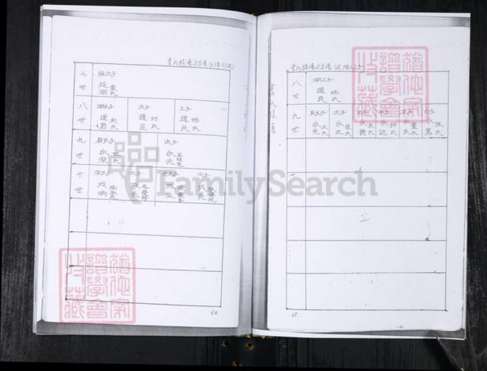 山东省青岛市李氏族谱-李氏族谱.王村擡头.pdf电子版插图4 山东省青岛市李氏族谱-李氏族谱.王村擡头.pdf电子版插图4