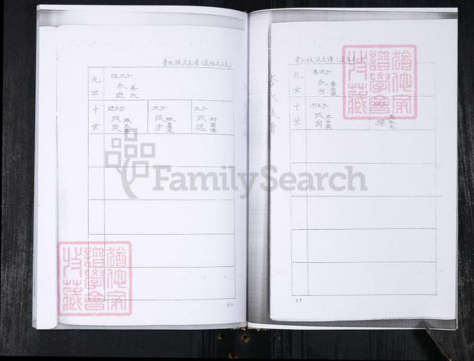 山东省青岛市李氏族谱-李氏族谱.王村擡头.pdf电子版插图5 山东省青岛市李氏族谱-李氏族谱.王村擡头.pdf电子版插图5