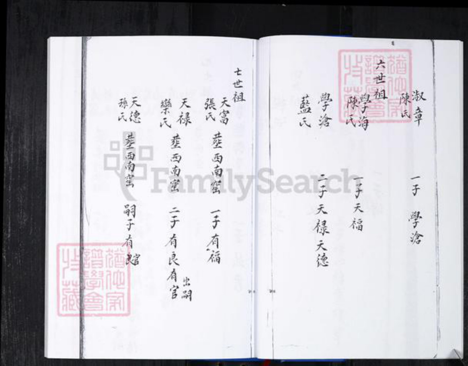 山东省青岛市崂山区李氏族谱-峪夼社区李氏族谱.pdf电子版插图5