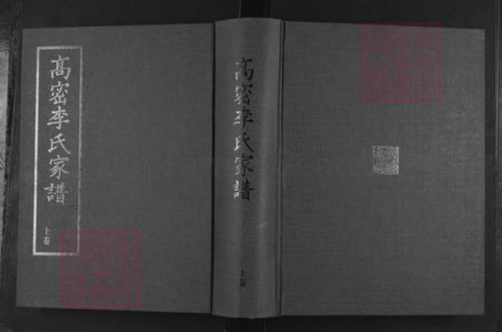 山东省潍坊市高密市李氏族谱-高密李氏家谱.pdf电子版插图