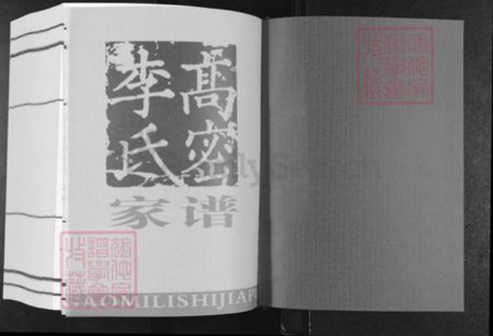 山东省潍坊市高密市李氏族谱-高密李氏家谱.pdf电子版插图1