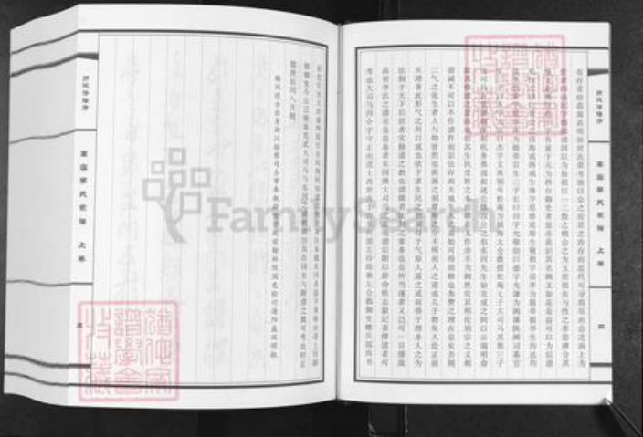 山东省潍坊市高密市李氏族谱-高密李氏家谱.pdf电子版插图5