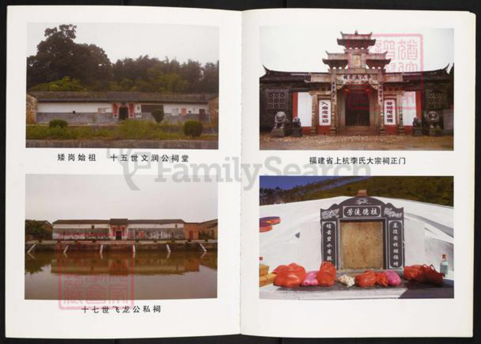 广东省广州市白云区人和镇李氏族谱-矮岗李氏族谱.pdf电子版插图3