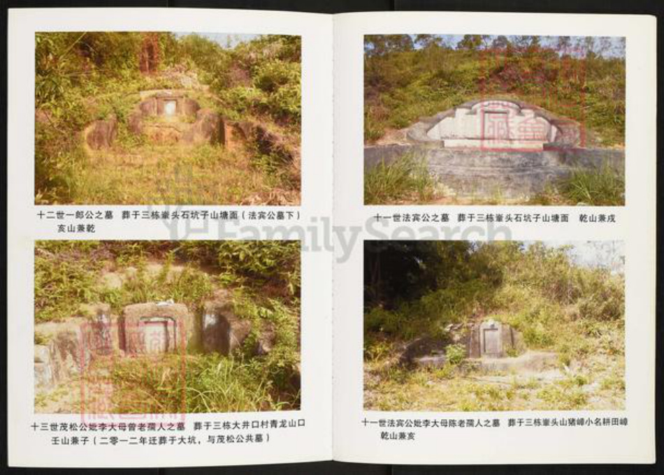 广东省广州市白云区人和镇李氏族谱-矮岗李氏族谱.pdf电子版插图4