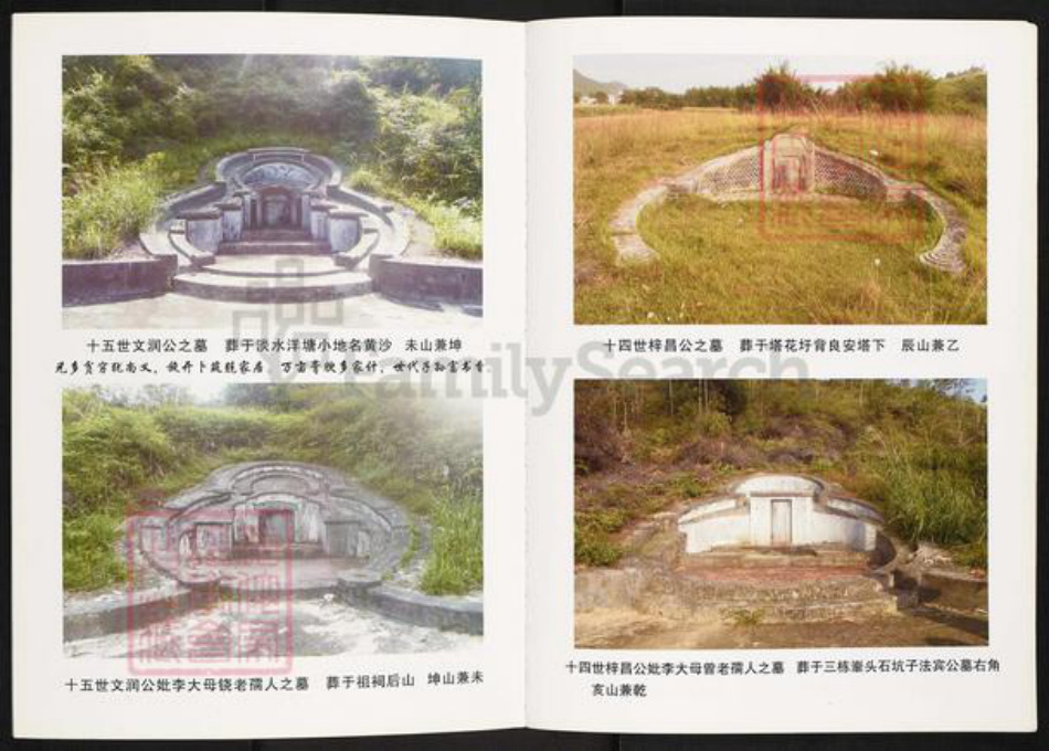 广东省广州市白云区人和镇李氏族谱-矮岗李氏族谱.pdf电子版插图5