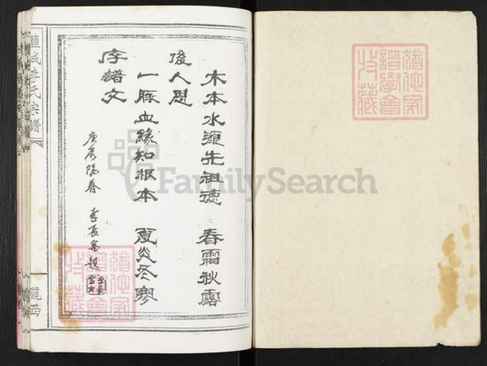 江苏省盐城市亭湖区李氏族谱-盐城李氏宗谱.pdf电子版插图1