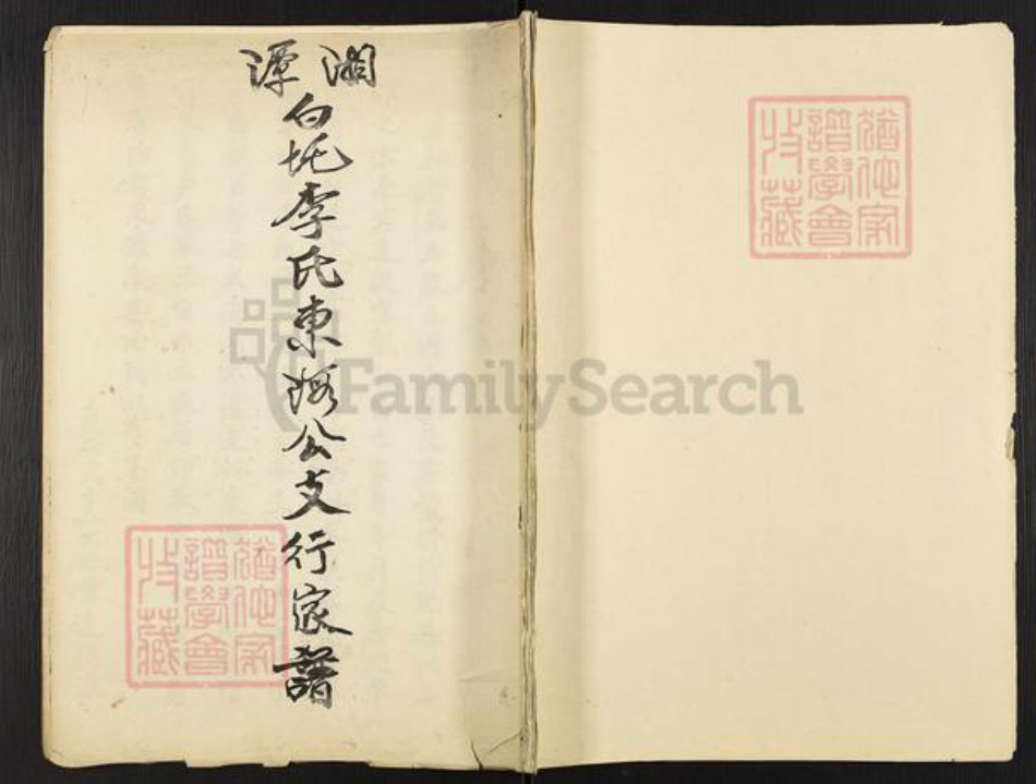 湖南省湘潭市湘潭县石潭镇李氏族谱-湘潭白圫李氏东海公支行家谱.pdf电子版