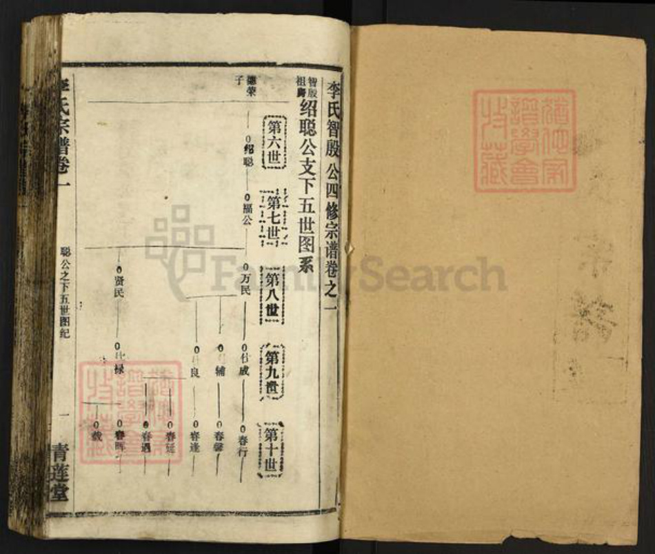 湖北省黄冈市麻城市李氏青莲堂族谱-李氏宗谱.pdf电子版插图1